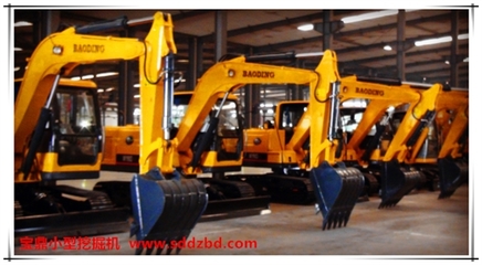 理性消費與靈活配置 中國小型挖掘機械市場購買群體演變與租賃業態興起